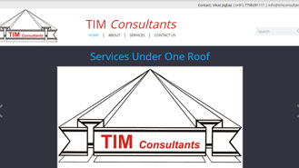 TIM Consultants