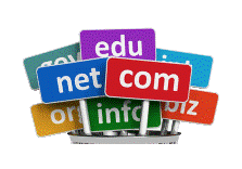 Domain Names and Web Hosting